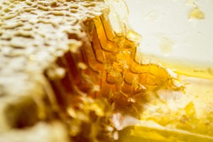 honey-3
